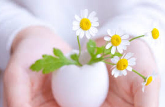 難しいお金の悩みもオンラインで伺います | 遠隔ヒーリングならHealing Space HAPPINESS