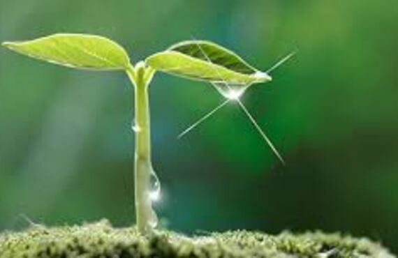 話題の女性カウンセラーがオンラインで対応 | 遠隔ヒーリングならHealing Space HAPPINESS