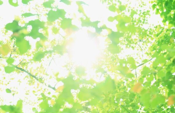 心がやすらぐリラクゼーション